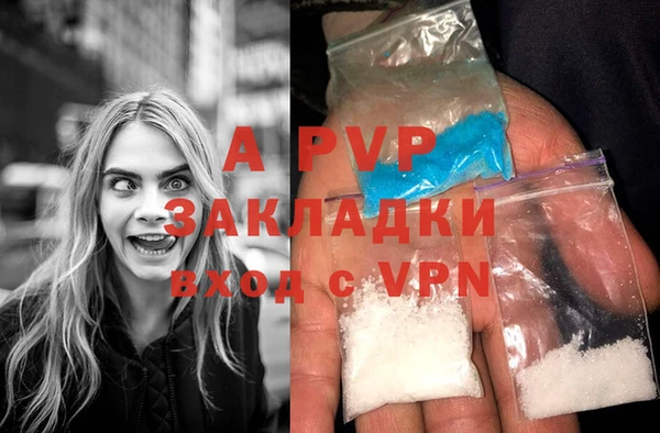 гидропоника Белокуриха