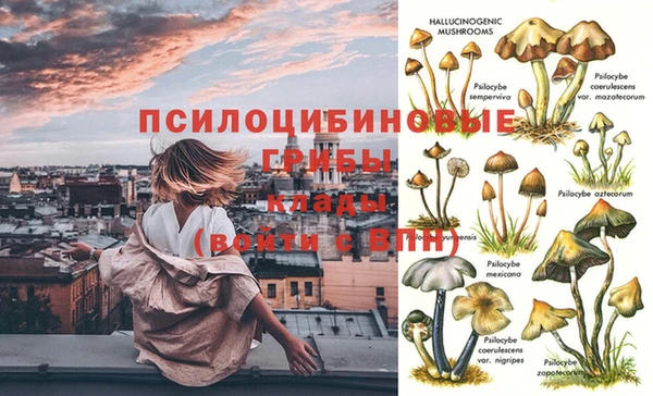 гидропоника Белокуриха