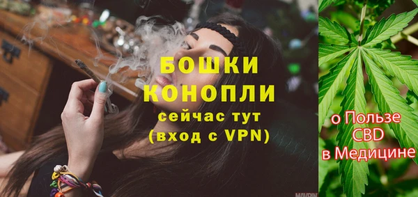 молекула духа Белоозёрский