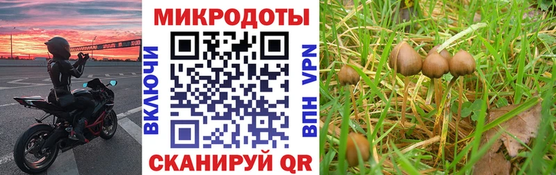 Галлюциногенные грибы ЛСД  как найти закладки  Ахтырский 