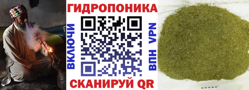 Шишки марихуана LSD WEED  купить наркотики сайты  Ахтырский 